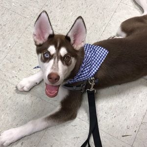 Meet your Posher, Jonathan